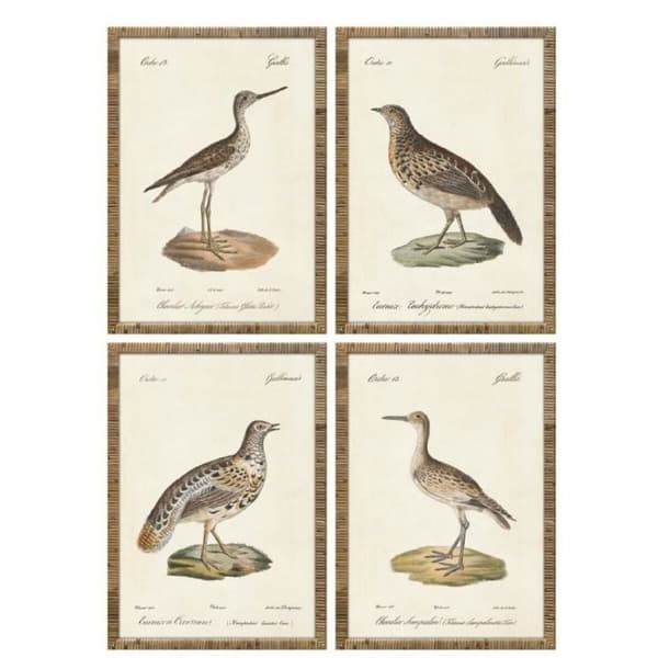 Maleri Home ESPRIT Beige Fugle Cottage 40 x 2,5 x 50 cm (4 enheder)