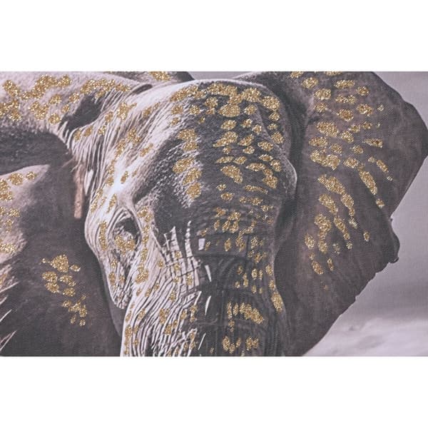 Maleri Home ESPRIT Beige Grå Elefant Kolonistil Skinne 150 x 4 x 50 cm (2 enheder)