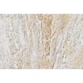 Miniatyrbilde 3 av 4: Maleri Home ESPRIT Hvit Beige Vase Tradisjonell 62 x 4,5 x 122 cm (2 enheter)
