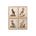 Miniatyrbilde 1 av 4: Maleri Home ESPRIT Beige Tropisk 40 x 2 x 50 cm (4 enheter)