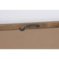 Pikkukuva 4 / 4: Maalaus Home ESPRIT Shabby Chic Kasvitieteelliset kasvit 40 x 2,5 x 50 cm (4 osaa)
