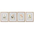Pikkukuva 1 / 4: Maalaus Home ESPRIT Shabby Chic Kasvitieteelliset kasvit 40 x 2,5 x 50 cm (4 osaa)
