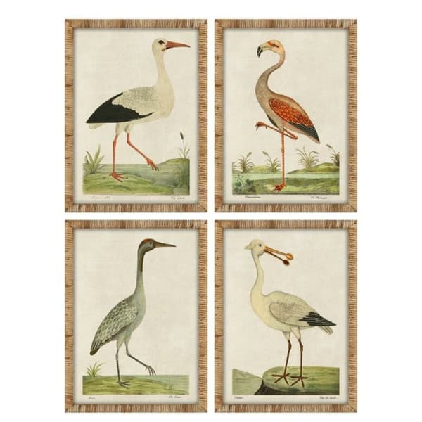 Maleri Home ESPRIT Beige Fugle Traditionel 50 x 2,5 x 40 cm (4 enheder)
