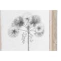 Pikkukuva 3 / 4: Maalaus DKD Home Decor Palmut Siirtomaatyylinen (35 x 1,8 x 45 cm) (9 osaa)