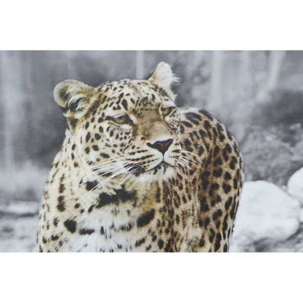 Tavla DKD Home Decor Leopard Kolonial (50 x 1,8 x 70 cm) (4 antal)