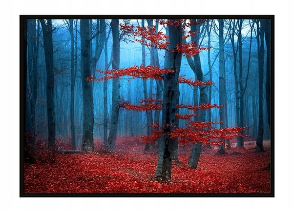 TAVELAFFIST I RAM 53x73 cm Skog P1807