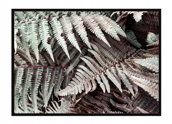 POSTER I RAM 53x73 cm Löv P1760