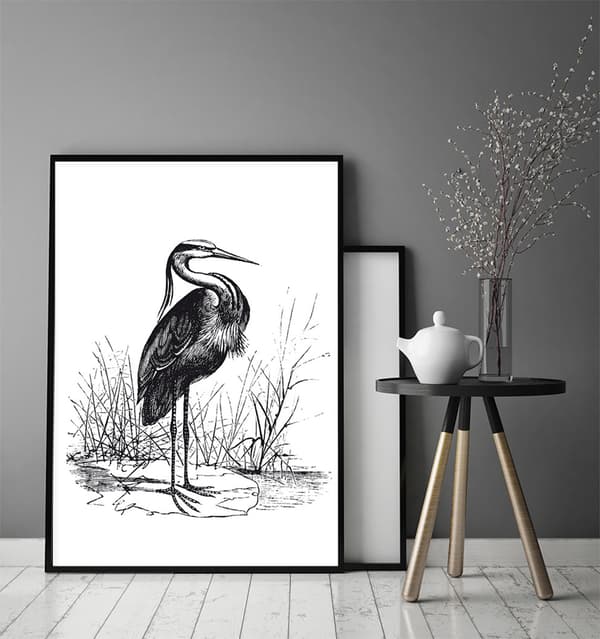 BILLEDPOKATER I RAMME 33x43 cm Heron P1746