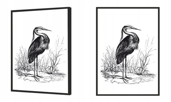 BILLEDPOKATER I RAMME 33x43 cm Heron P1746