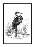 Miniatyrbillede 1 af 4: BILLEDPOKATER I RAMME 33x43 cm Heron P1746