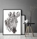 Miniatyrbillede 3 af 4: BILLEDPOKATER I RAMME 33x43 cm Zebra P1738