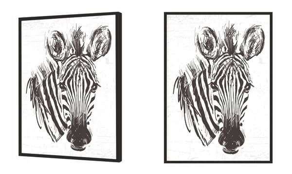 BILLEDPOKATER I RAMME 33x43 cm Zebra P1738