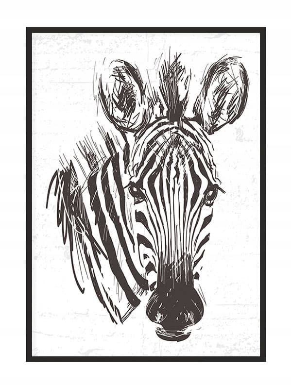 BILLEDPOKATER I RAMME 33x43 cm Zebra P1738