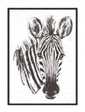Miniatyrbillede 1 af 4: BILLEDPOKATER I RAMME 33x43 cm Zebra P1738