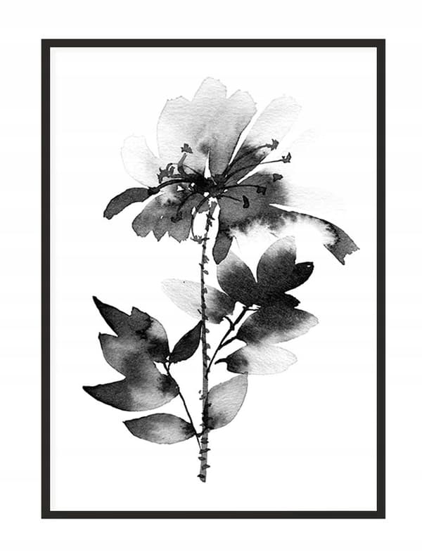 POSTER I RAM 33x43 cm Akvarell P1671