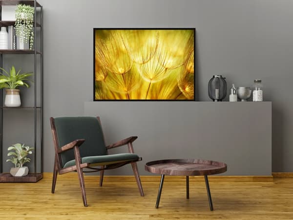 BILLEDPOKATER I RAMME 53x73 cm Mælkebøtter P1635