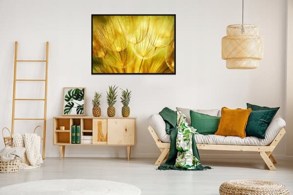 BILLEDPOKATER I RAMME 53x73 cm Mælkebøtter P1635