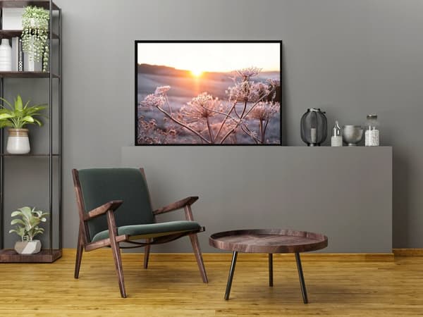 BILLEDPOKATER I RAMME 53x73 cm Blomster P1622