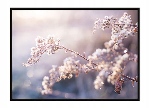 KUVAPUOLISTE KEHYISSÄ 53x73 cm Oksa P1618