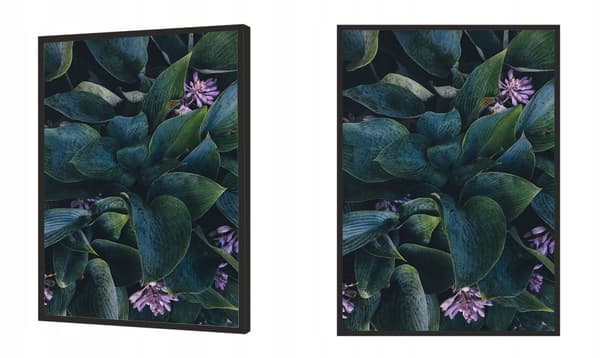 KUVAPOSTERI KEHYISSÄ 53x73 cm Lehdet P1609