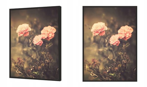 BILLEDPOKATER I RAMME 53x73 cm Blomster P1528