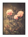 Miniatyrbillede 1 af 4: BILLEDPOKATER I RAMME 53x73 cm Blomster P1528
