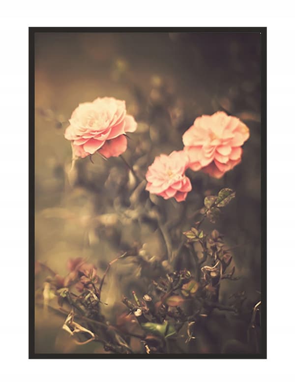 BILLEDPOKATER I RAMME 53x73 cm Blomster P1528