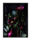 Miniatyrbillede 1 af 4: BILLEDPOKATER I RAMME 53x73 cm Blomster P1525