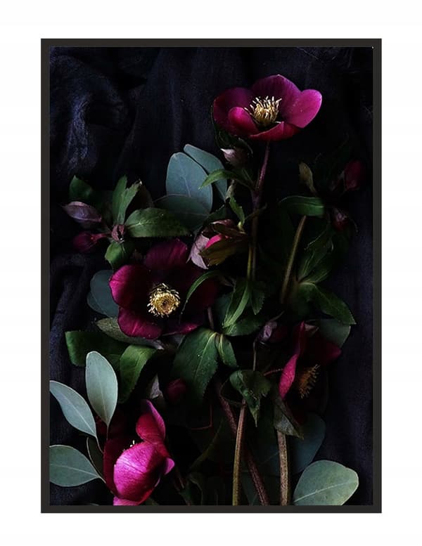 BILLEDPOKATER I RAMME 53x73 cm Blomster P1525
