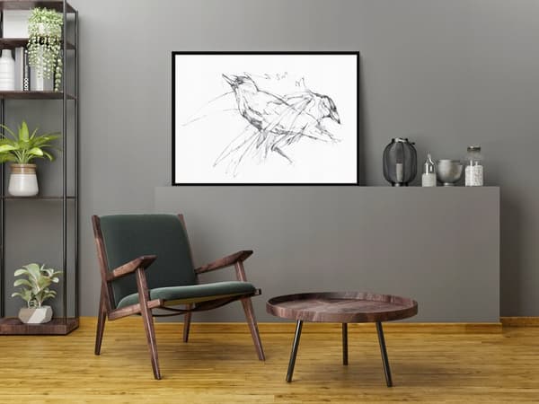 POSTER I RAM 53x73 cm Fåglar P1499
