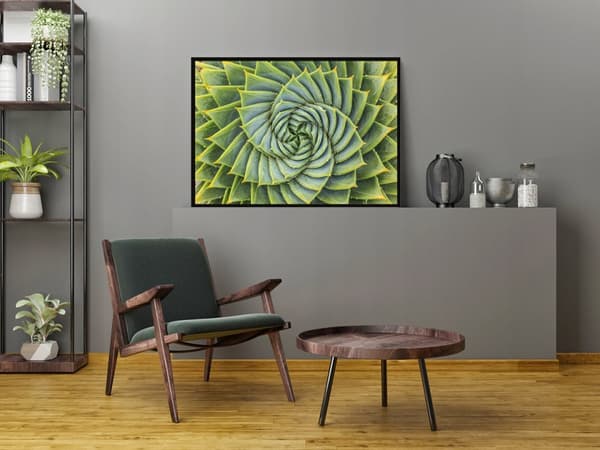 KUVAPOSTERI KEHYISSÄ 53x73 cm Lehdet P1494