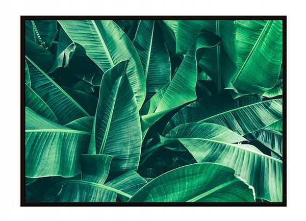 TAVELAFFIST I RAM 53x73 cm Löv P1492