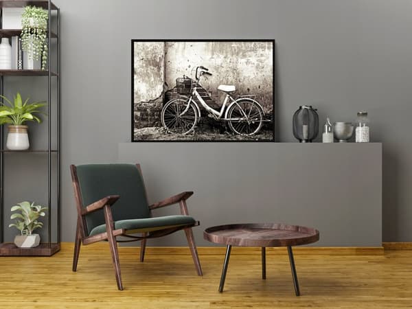 BILLEDPOKATER I RAMME 53x73 cm Cykel P1486