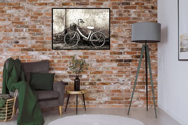 BILLEDPOKATER I RAMME 53x73 cm Cykel P1486