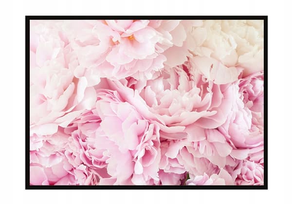 TAVELAFFIST I RAM 53x73 cm Blommor P1482