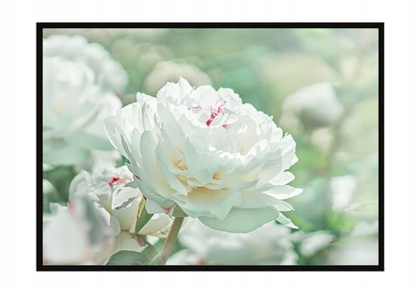 TAVELAFFIST I RAM 53x73 cm Blommor P1480