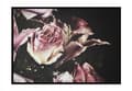 Miniatyrbild 1 av 3: TAVELAFFIST I RAM 53x73 cm Blommor P1479