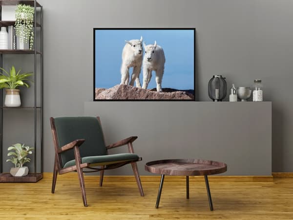 TAVELAFFIST I RAM 33x43 cm P1473
