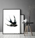 Pikkukuva 4 / 4: KUVAPUOLISTE KEHYISSÄ 53x73 cm Swallow P1441