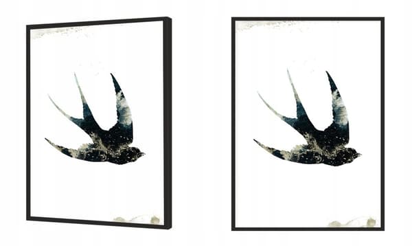 KUVAPUOLISTE KEHYISSÄ 53x73 cm Swallow P1441