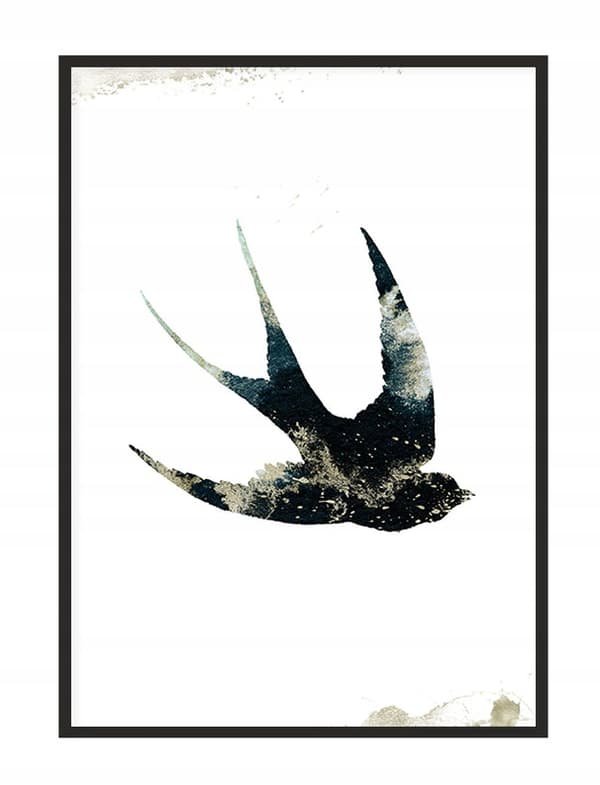 KUVAPUOLISTE KEHYISSÄ 53x73 cm Swallow P1441