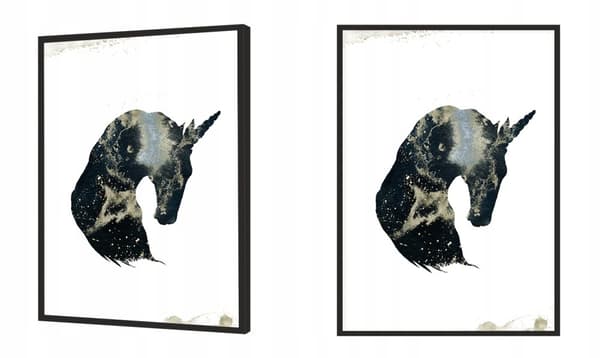 KUVAPUOLISTE KEHYISSÄ 53x73 cm Yksisarvinen P1439