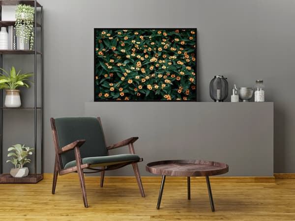 KUVAPOSTERI KEHYISSÄ 33x43 cm Kukat P1419