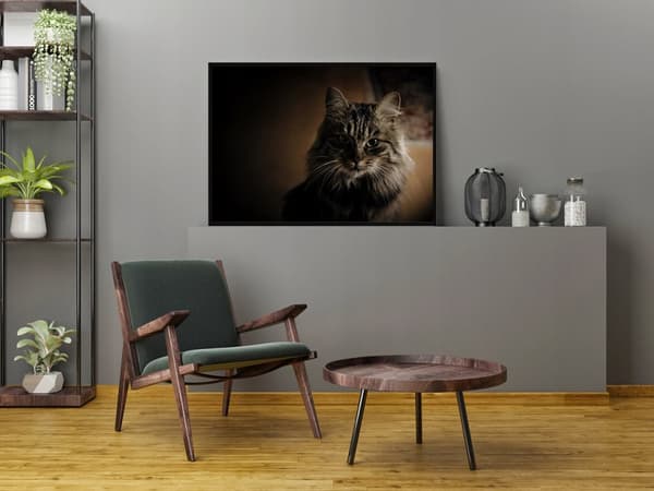 TAVELAFFIST I RAM 33x43 cm Katt P2322