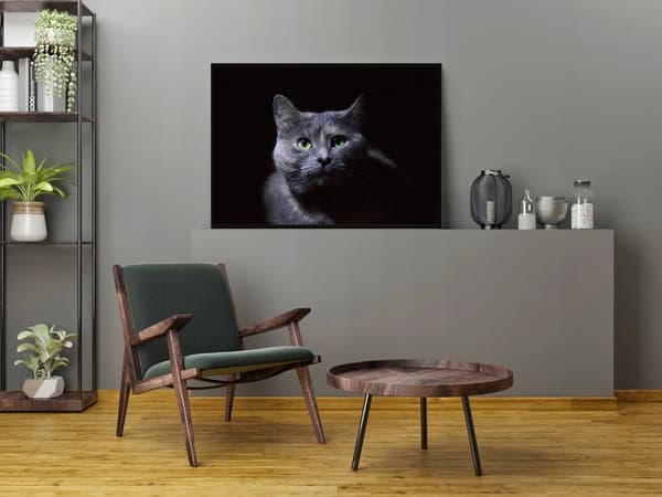 TAVELAFFIST I RAM 33x43 cm Katt P1407