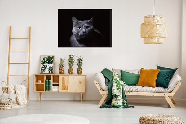 TAVELAFFIST I RAM 33x43 cm Katt P1407