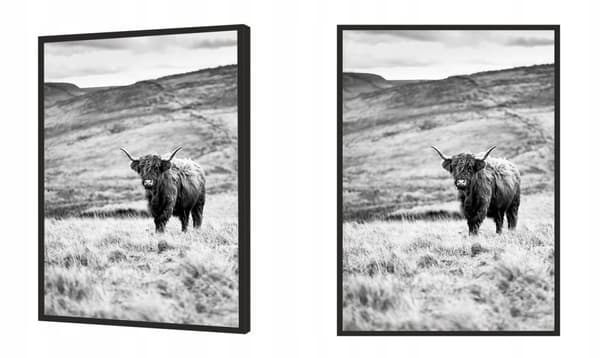 KUVAPOSTERI KEHYISSÄ 33x43 cm Highlander P1399