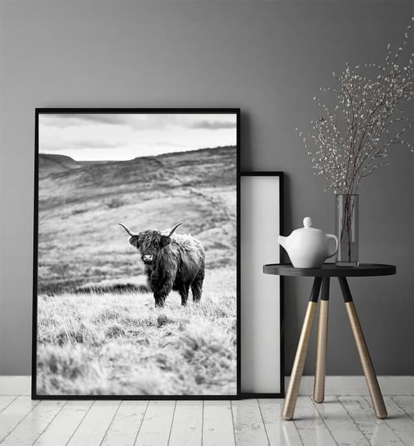 KUVAPOSTERI KEHYISSÄ 33x43 cm Highlander P1399