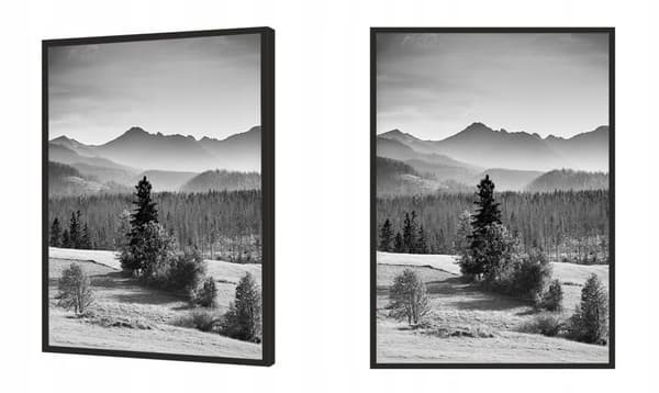 POSTER I RAM 53x73 cm Berg P1382