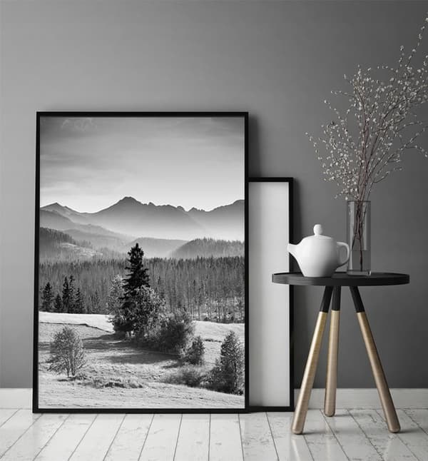 POSTER I RAM 53x73 cm Berg P1382